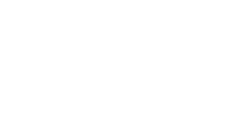 beltra system logo bianco